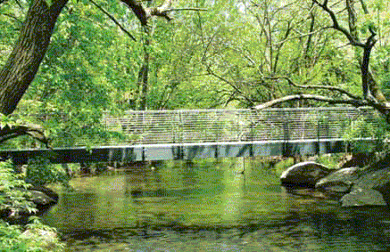 Preserve Park Bridge and Suspended Walkway